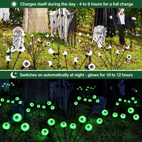 Charges itself in 4 to 6 hours of daylight and glows for 10 to 12 hours at night